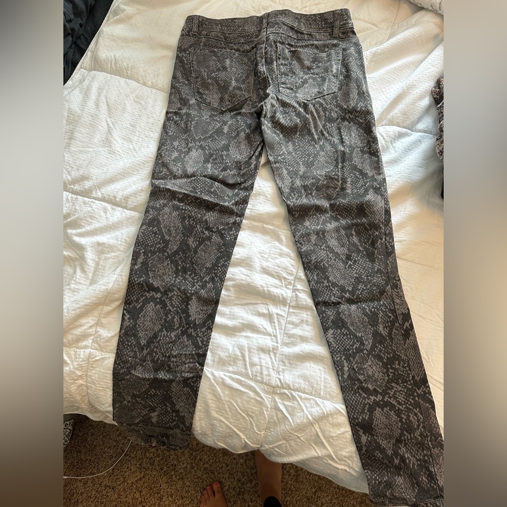 Democracy Fashion Pants